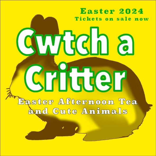 Cwtch a Critter - Easter afternoon tea and cute animals